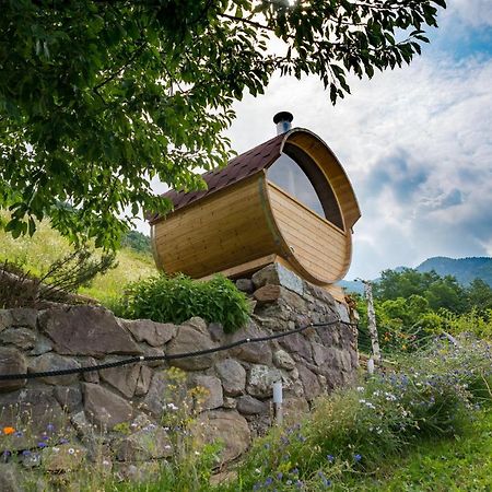 Agriturismo Alveare Sul Lago 皮索涅 外观 照片