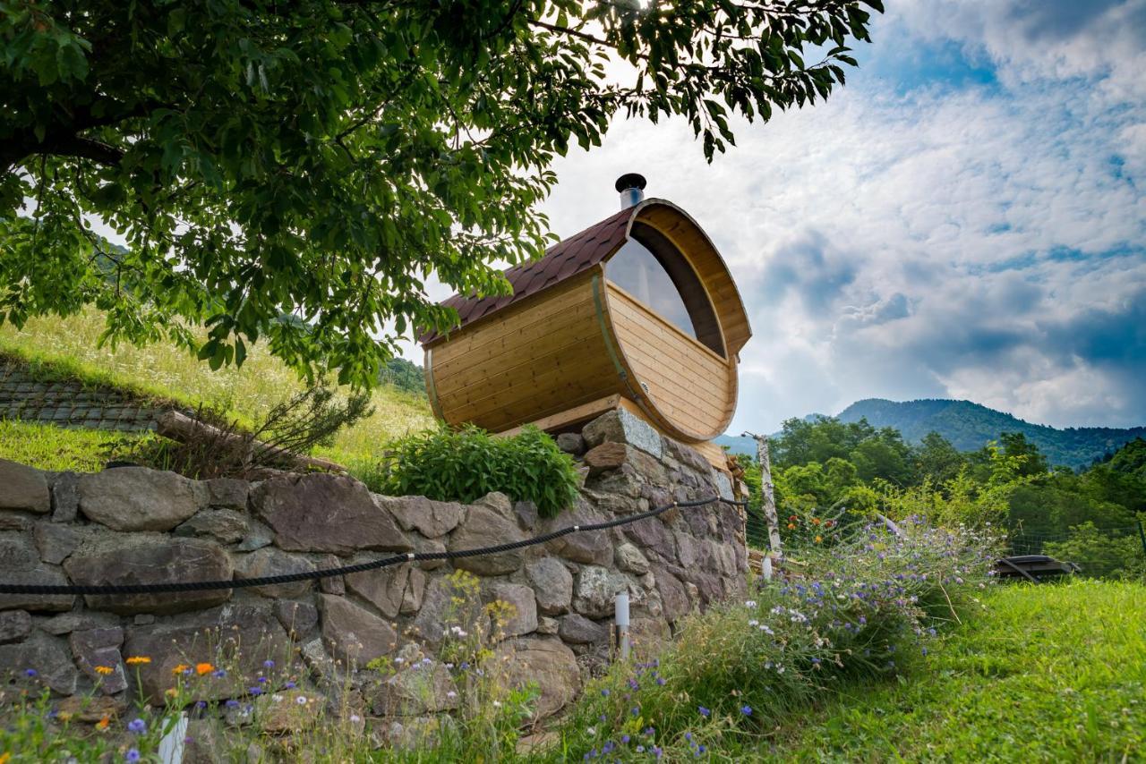 Agriturismo Alveare Sul Lago 皮索涅 外观 照片