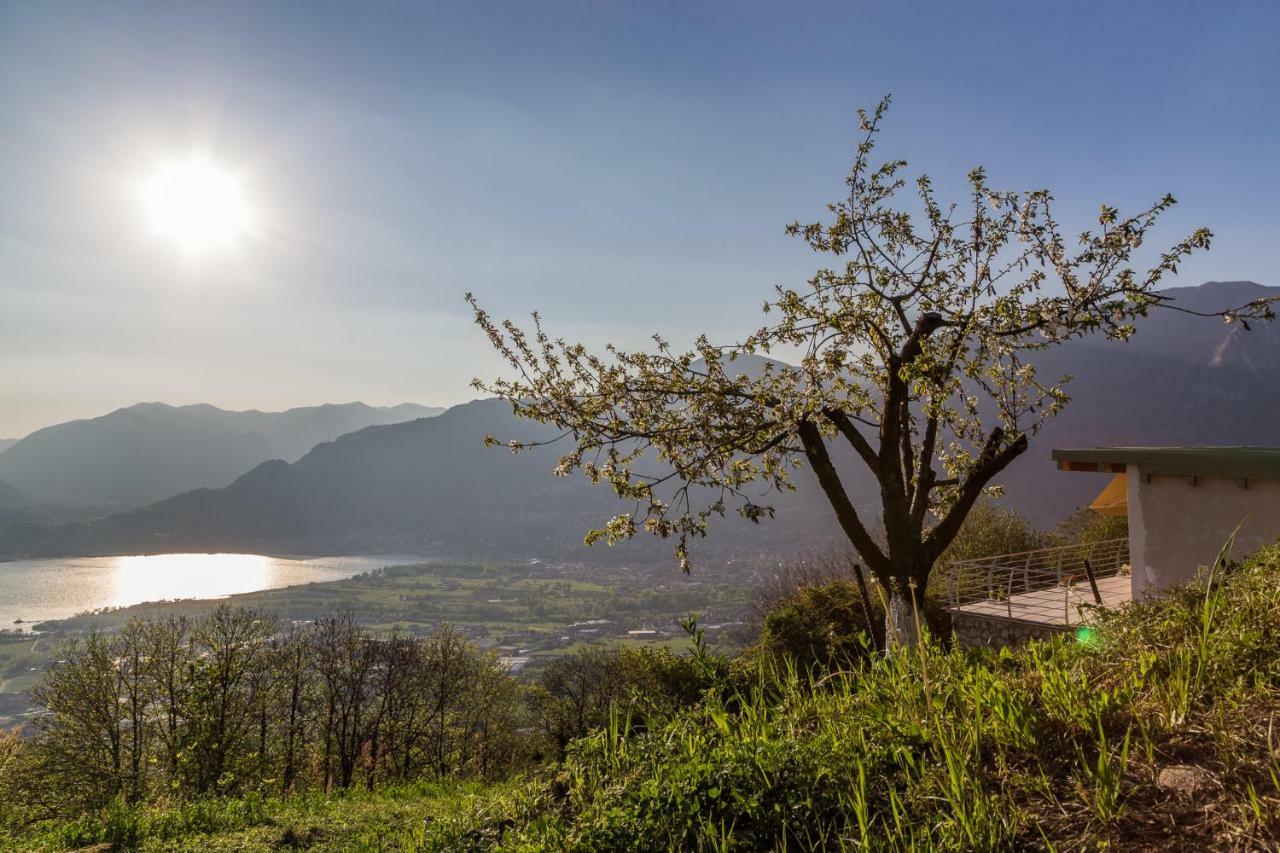 Agriturismo Alveare Sul Lago 皮索涅 外观 照片