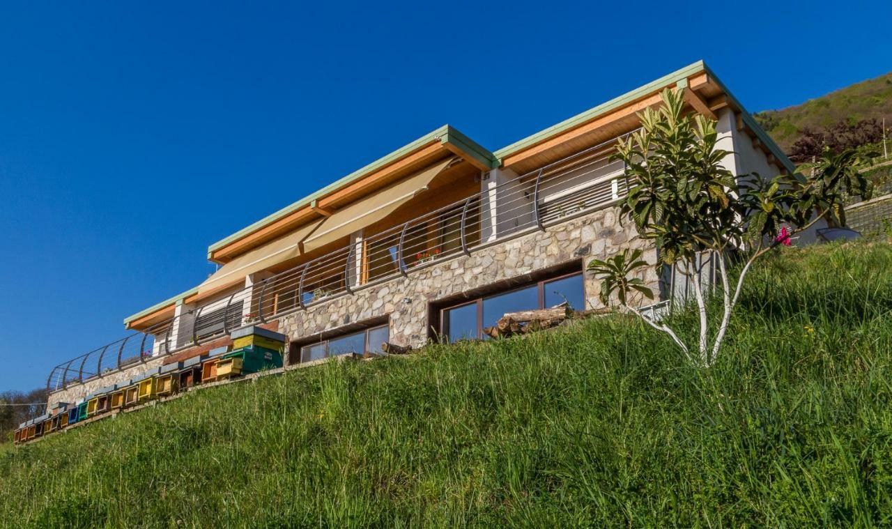 Agriturismo Alveare Sul Lago 皮索涅 外观 照片
