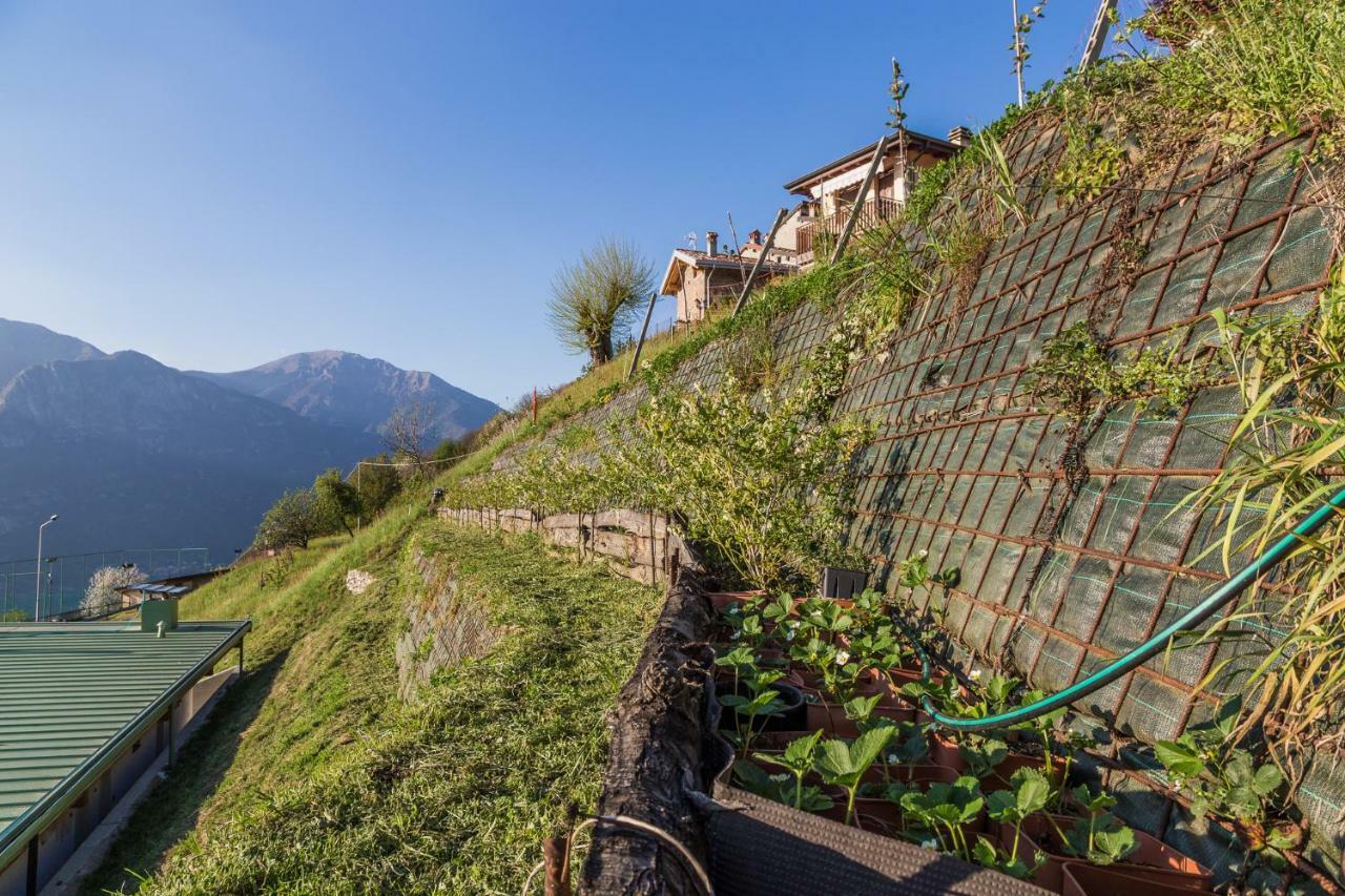 Agriturismo Alveare Sul Lago 皮索涅 外观 照片