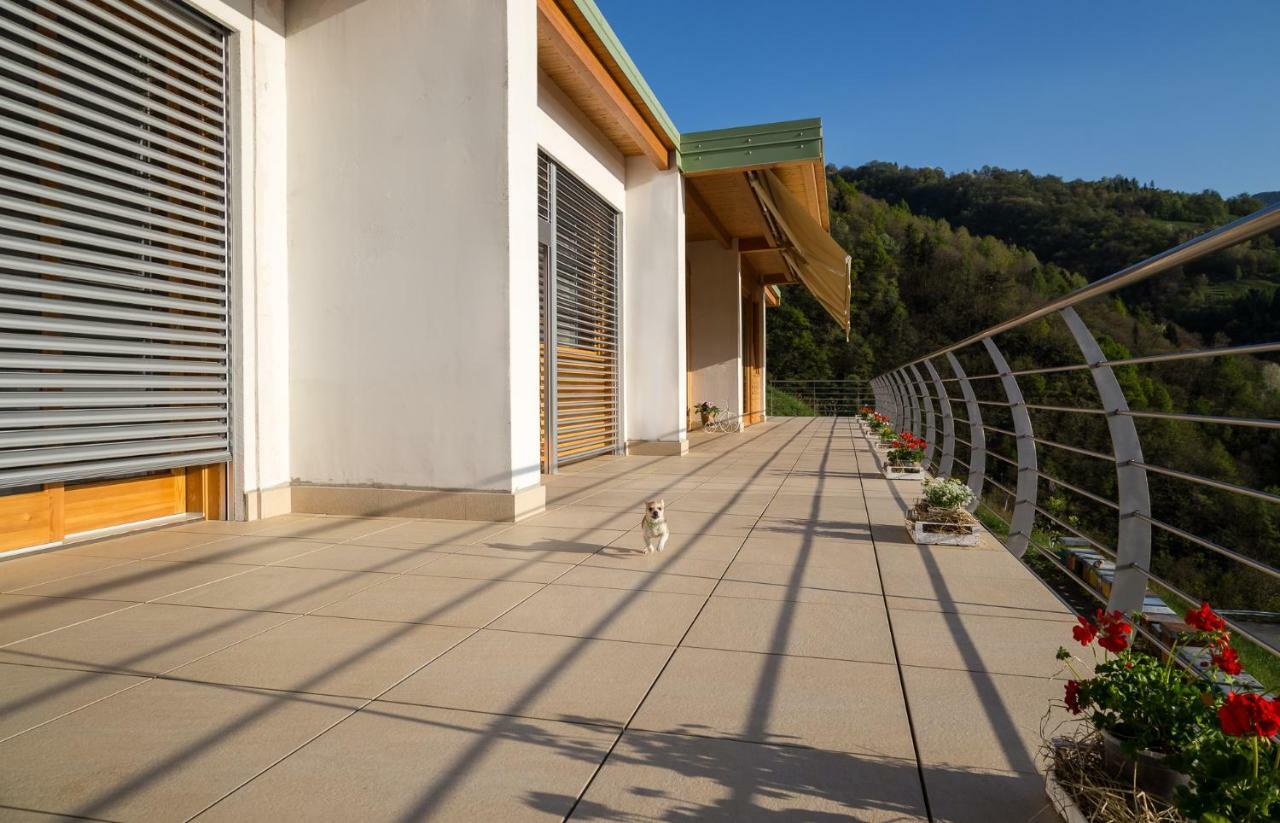 Agriturismo Alveare Sul Lago 皮索涅 外观 照片
