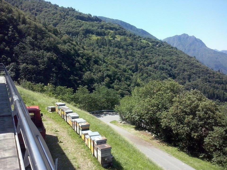 Agriturismo Alveare Sul Lago 皮索涅 外观 照片